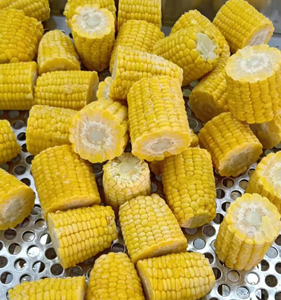 Trung Quốc Hạng <span class=keywords><strong>A</strong></span> Số Lượng Lớn Ngô Siêu Ngọt Phổ Biến Ngô Vàng Ngô - Product Image 5