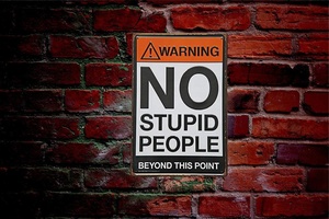 Insegna di latta in metallo rustico di alta qualità "nessuna persona stupida oltre questo punto" - Product Image 4