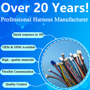 ODM OEM Kustom Dupont TE Molex MX Micro Connector JST XH PH SH ZH VH GH SM Wiring Harness 2 3 4 5 6 7 8 9 Pin Perakitan Kabel - Product Image 6