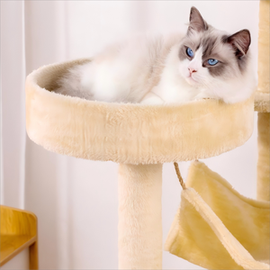 Fabricante Árbol para gatos en juguetes interactivos con tablero de rascar de sisal natural Casa de Castillo para gatos Casa de lujo para mascotas Cattery Cat Tower - Product Image 5