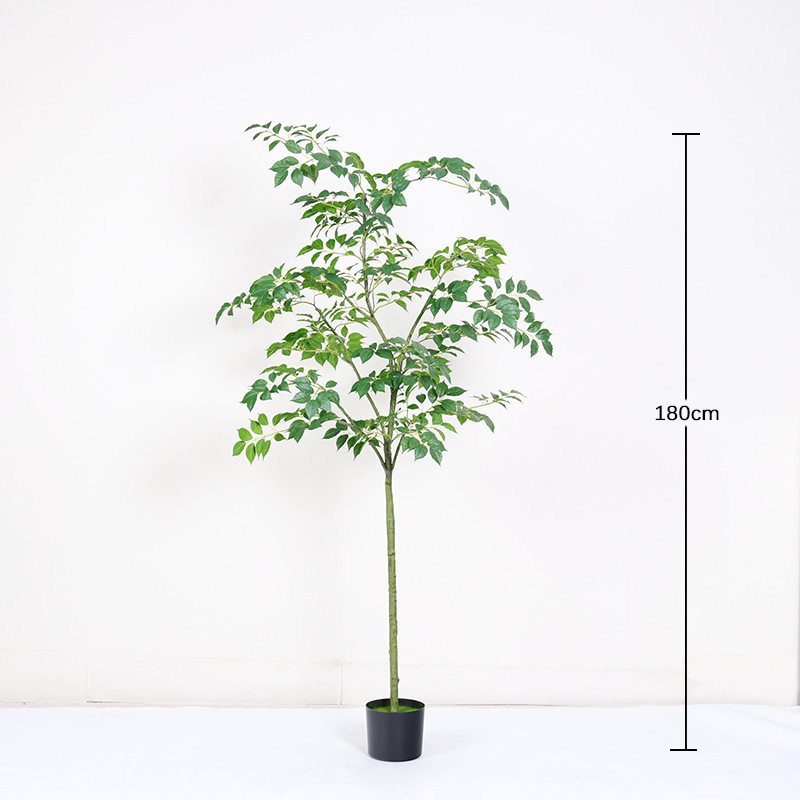 180cm