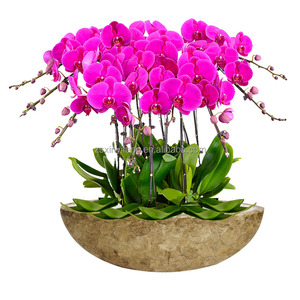 Macetas de <span class=keywords><strong>flores</strong></span> en forma de Barco con concha de mar, <span class=keywords><strong>Bar</strong></span> hecho a mano, creativo, Simple, Occidental, venta al por mayor - Product Image 2