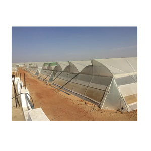 Serre naturellement ventilée pour une croissance efficace des cultures, offrant un contrôle optimal de la température et une circulation optimale de l'air. - Product Image 1