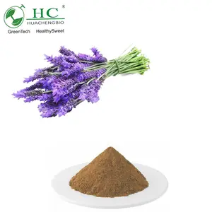 Pemasok 4:1 ekstrak Lavender grosir alami 100% kualitas tinggi-20:1 dengan harga terbaik