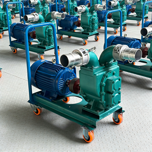 Портативный мини-насос для перекачки дизельного топлива и масла, 3 дюйма/2 дюйма, 5,5 кВт - Product Image 3