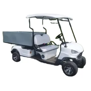 Electric Golf Cart Cargo 2 Seats Outdoor Cheap Utility Track Vehicle With Cargo Hopper