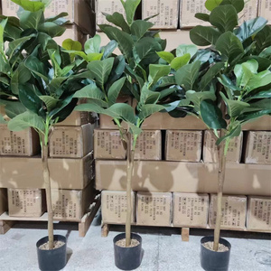 Trang Trí Nội Thất Tốt Nhất 6 Foot Gần Như Tự Nhiên <span class=keywords><strong>Faux</strong></span> Nhỏ Chậu Cây Lyrata Xanh Cây Cảnh Nhân Tạo Fiddle Leaf Fiddle Cây Vả - Product Image 3