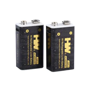Batterie lithium 9V USB type C batterie usb rechargeable 3600mWh batterie li-ion rechargeable