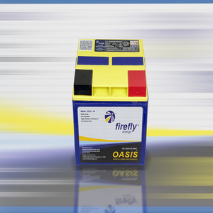 Batterie à décharge profonde Firefly Energy Oasis 12V 42Ah, modèle PB 12-42, non écoulable, microcellulaire, en mousse de carbone, pour énergie solaire et onduleur (UPS) - Product Image 5