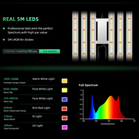 Serre de culture intérieure 4x4 facile à assembler avec éclairage LED à spectre complet dimmable, kit complet pour culture hydroponique