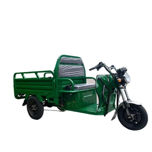 Triciclo eléctrico de carga pesada, motocicleta agrícola de <span class=keywords><strong>3</strong></span> <span class=keywords><strong>ruedas</strong></span> con motor de 1000W, rickshaw de 48V para pasajeros y carga, certificado EEC - Product Image 5
