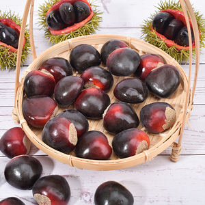 ถั่วเกาลัดจำลองถั่วผลไม้<span class=keywords><strong>ปลอม</strong></span>สำหรับการศึกษาปฐมวัยสำหรับ<span class=keywords><strong>ต</strong></span>กแ<span class=keywords><strong>ต</strong></span>่งคริส<span class=keywords><strong>ต</strong></span>์มาส - Product Image 1