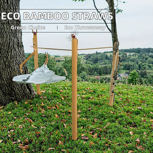 Best-Selling Eco-Friendly Disposable <b>Bamboo</b> <b>Straws</b> Biodegradable paper <b>straws</b> and Safe for Drinking - Product Image 3