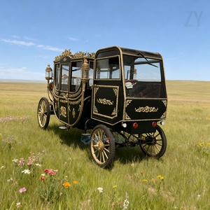 Carruaje Real Negro Antiguo en Venta, Carruaje de Transporte Especial Personalizado, Carruaje con Cabina Cerrada Eléctrica - Product Image 2