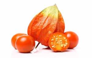 Suministro directo de fábrica de polvo de extracto de raíz de Ashwagandha 2.5% 5% 10% Withanolide 9:1 10:1 materia prima de alta calidad al mejor precio - Product Image 5