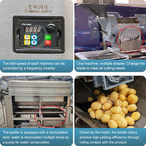 Ligne de production industrielle de <span class=keywords><strong>frites</strong></span> croustillantes ORME, petite échelle, machine à fabriquer des chips de pommes de terre surgelées - Product Image 4