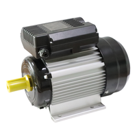 Moteur électrique asynchrone monophasé AC YL, boîtier en aluminium, 2,2 kW, 220 V, 50 Hz, 60 Hz