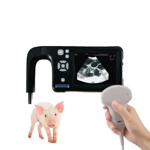 Pig Veterinair Echografie Apparaat Draagbare Veterinaire Echografie Zwangerschap Echografie Machine Voor Veterinair Gebruik Dieren Huisdieren