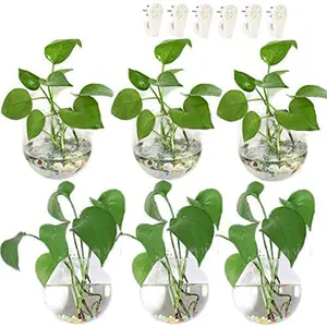 Fioriere sospese a parete all'ingrosso terrario vetro oblato globo piante contenitori per la diffusione di piante idroponiche piante ad aria