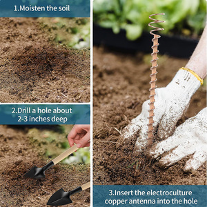 C118 Cultivo de jardín Crecimiento saludable y rápido Electrocultura larga Jardinería Bobina de cobre Antenas Electrocultura Estacas para plantas - Product Image 3