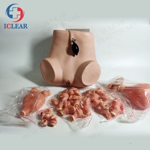 Медицинская обучающая модель вагины, модель гинекологического обследования - Product Image 2