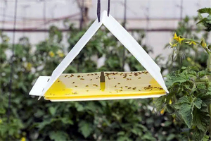Piège à mites triangulaire durable pour la gestion des parasites des vergers et des jardins - Product Image 4