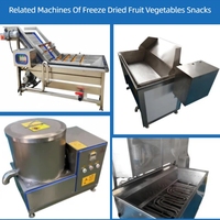 Industriële voedselvriesdroger, vacuümvriesdroger, wasmachine, schiller, snijmachine voor fruit, groenten, snoep, chips, snacks productielijn