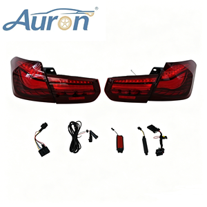 Nuevas Luces Traseras Estilo Escama de Dragón de 6000K 36W 12V para Automóviles Serie 3 F30 F35 2013-2018, Venta al Por Mayor - Product Image 1