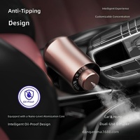 Diffuseur d'air frais pour voiture en métal Danqi, best-seller, alimenté par USB, capacité de 510 ml, minuterie, parfumage automatique tactile, ions négatifs