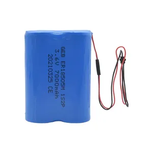 GEB paket baterai Lithium 3.6V 7Ah ER18505M 1S2P 7000mAh ER18505 baterai utama tipe daya tinggi baterai Li-SoCl2 - Product Image 1