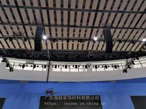 Materiales <span class=keywords><strong>de</strong></span> insonorización <span class=keywords><strong>de</strong></span> alta calidad, suspensión <span class=keywords><strong>de</strong></span> espacio <span class=keywords><strong>en</strong></span> el <span class=keywords><strong>techo</strong></span>, Panel acústico <span class=keywords><strong>de</strong></span> Metal para gimnasio - Product Image 6