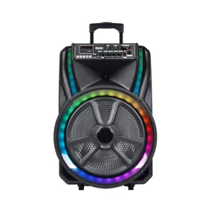 Big Music 15 inch Wireless Mic Portable Speaker Trolley Speaker Outdoor Concert With Amplifier Bluetooth