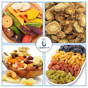 เครื่องอบแห้งสุญญากาศเชิงพาณิชย์ ltdg ซีรีส์100กก. 200กก. 500กก. - Product Image 6