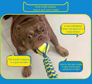 7cm 9cm mascota al aire libre interactivo resistente a mordeduras bola hueca juguete para mascotas natural Eva espuma flotante perro masticar pelota de juguete para entrenamiento de mascotas - Product Image 4