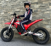 Toptan Çapraz Motosiklet Ucuz Fiyatlı Yetişkin Elektrikli Motosikletler Hızlı E-Motosiklet Uzun Menzilli Çocuklar İçin