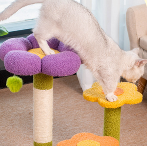 Durable Wholesale Cat Climbing Frame Mat Memory Foam Integrated Nest Flower Toy Breathable and Comfortable <strong>Pet</strong> <strong>Beds</strong> - Product Image 4