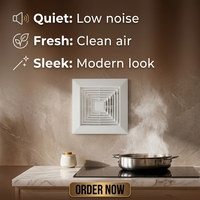 Ventilateur d'extraction de cuisine carré de 10 pouces, modèle OEM BPT1-25E, faible bruit (50 dB), connecteur de conduit mural, alimentation CA pour la maison