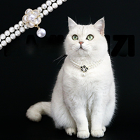 Collier pour animaux de compagnie style Princesse en cristal géométrique, avec pendentif, pour chiens Maltese et Devon, et collier pour chien en double cristal noble, accessoires à boucle auto-agrippante