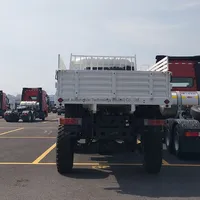 Awd 4X4 6X6 Tout Terrain Dongfeng Hors Route Camion Cargo Camion Léger pour l'Afrique