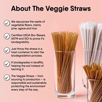 Bagasse de canne à sucre jetable 6*200mm paille compostable Smoothie Cocktail Milkshake jus boisson froide