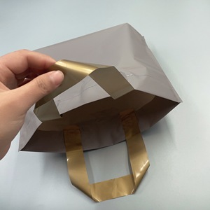 Chất lượng cao thân thiện với môi Matte grey Frosted Túi mua sắm xử lý biểu tượng tùy chỉnh PP nhựa <span class=keywords><strong>Carrier</strong></span> Túi grey cho bao bì - Product Image 6