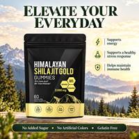 Gummies de Shilajit en gros sous marque privée avec Ashwagandha et Gokshura, 60 unités, pour la vitalité quotidienne masculine, complément alimentaire OEM&ODM