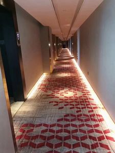 Alfombra lujosa <span class=keywords><strong>de</strong></span> nailon estampada para pasillo <span class=keywords><strong>de</strong></span> Hotel, Popular, para Hotel - Product Image 4