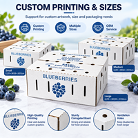 Boîte d'emballage respirante en carton ondulé de qualité alimentaire pour myrtilles, avec trous de ventilation pour l'expédition de fruits frais, certifiée
