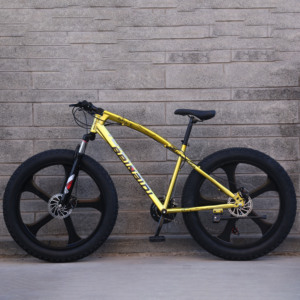 Vélo tout-terrain pour adultes 24/26'' - <span class=keywords><strong>Fat</strong></span> <span class=keywords><strong>Bike</strong></span> - Vélo de plage - Vélo de <span class=keywords><strong>neige</strong></span> - 21 vitesses - Pneus larges - Vélo de montagne - Product Image 3