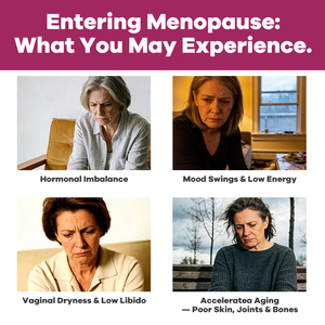 여성을 위한 10가지 기능의 갱년기 파우더 - 붉은 클로버, 한국 인삼 & 샤타바리 함유로 호르몬 균형 및 자연적 완화에 도움 - Product Image 3