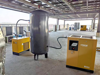 Compresseur d'air rotatif industriel à vis haute efficacité 37KW 50HP 4,9-6,8 M3/min, 173-240 Cfm, 7-13 bar pour la fabrication automobile