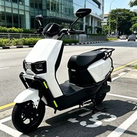 Moto électrique pour adultes 1000W, vitesse maximale 60 km/h, corps en acier haute teneur en carbone, scooter électrique, support SKD & CKD