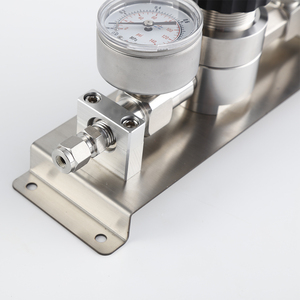Régulateur de gaz haute pureté de style panneau HCSA00 pour un contrôle précis du trafic - Product Image 3