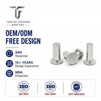 Rivets plats solides TianFang pour bras de liaison de commutateurs, en laiton sur mesure, finition nickelée, avec contrôle de dessin et approvisionnement en gros